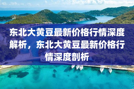 東北大黃豆最新價格行情深度解析，東北大黃豆最新價格行情深度剖析