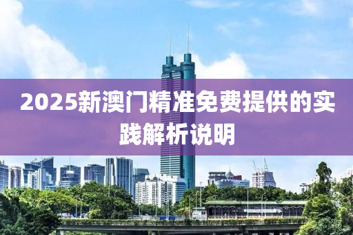 2025新澳門精準(zhǔn)免費提供的實踐解析說明