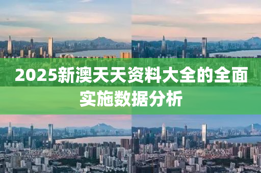 2025新澳天天資料大全的全面實(shí)施數(shù)據(jù)分析