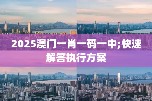 2025澳門(mén)一肖一碼一中;快速解答執(zhí)行方案