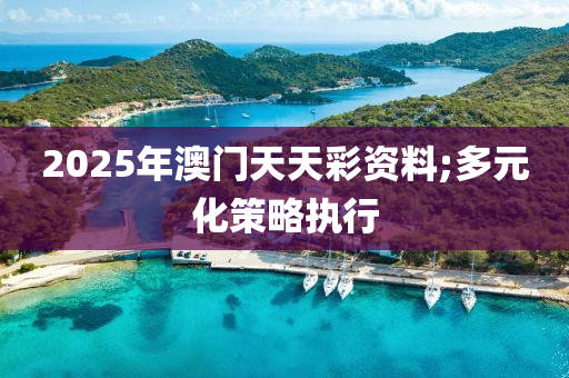 2025年澳門天天彩資料;多元化策略執(zhí)行