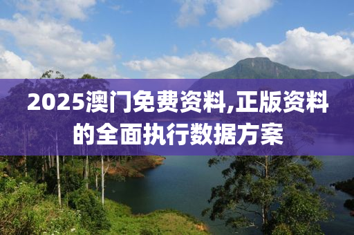 2025澳門免費(fèi)資料,正版資料的全面執(zhí)行數(shù)據(jù)方案