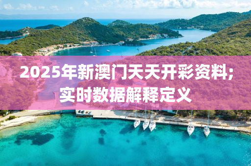 2025年新澳門天天開彩資料;實時數(shù)據(jù)解釋定義