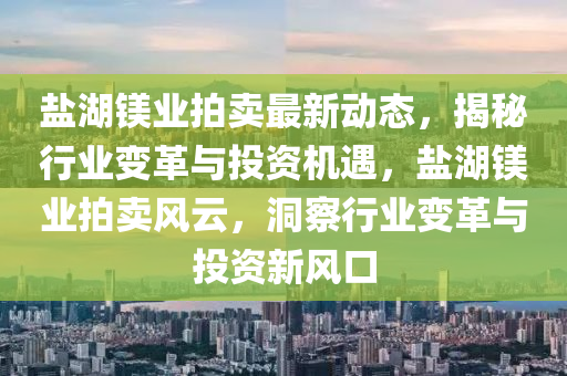 鹽湖鎂業(yè)拍賣最新動態(tài)，揭秘行業(yè)變革與投資機(jī)遇，鹽湖鎂業(yè)拍賣風(fēng)云，洞察行業(yè)變革與投資新風(fēng)口