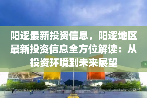 陽邏最新投資信息，陽邏地區(qū)最新投資信息全方位解讀：從投資環(huán)境到未來展望