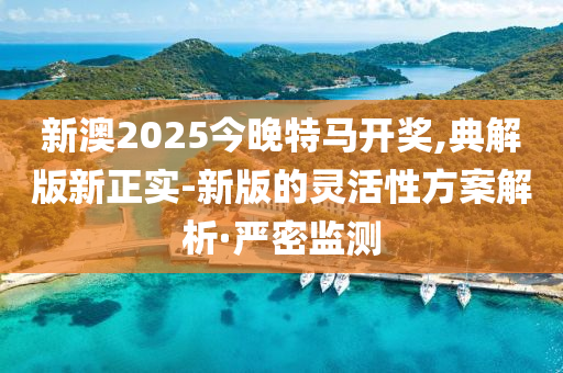 新澳2025今晚特馬開獎,典解版新正實-新版的靈活性方案解析·嚴密監(jiān)測