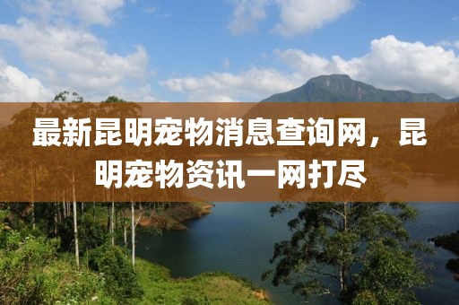 最新昆明寵物消息查詢網(wǎng)，昆明寵物資訊一網(wǎng)打盡