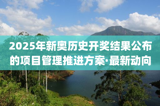 2025年新奧歷史開獎(jiǎng)結(jié)果公布的項(xiàng)目管理推進(jìn)方案·最新動(dòng)向