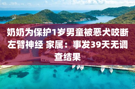 奶奶為保護1歲男童被惡犬咬斷左臂神經(jīng) 家屬：事發(fā)39天無調(diào)查結(jié)果