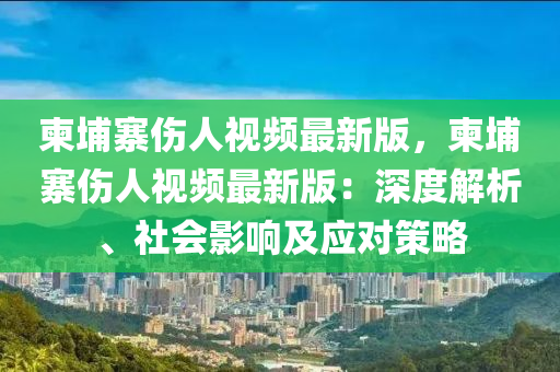 柬埔寨傷人視頻最新版，柬埔寨傷人視頻最新版：深度解析、社會影響及應(yīng)對策略