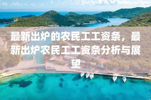 最新出爐的農(nóng)民工工資條，最新出爐農(nóng)民工工資條分析與展望