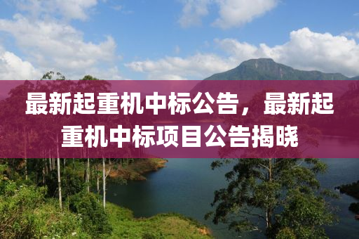 最新起重機(jī)中標(biāo)公告，最新起重機(jī)中標(biāo)項目公告揭曉