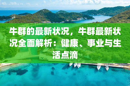 牛群的最新狀況，牛群最新狀況全面解析：健康、事業(yè)與生活點滴