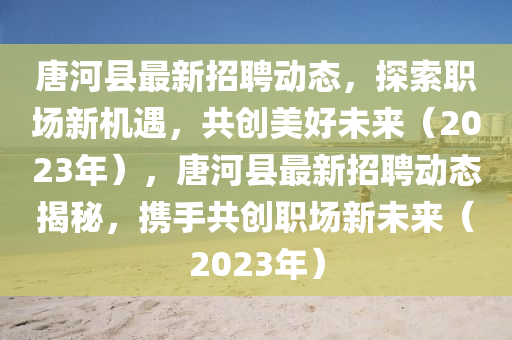 唐河縣最新招聘動(dòng)態(tài)，探索職場新機(jī)遇，共創(chuàng)美好未來（2023年），唐河縣最新招聘動(dòng)態(tài)揭秘，攜手共創(chuàng)職場新未來（2023年）