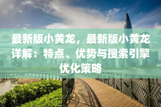 最新版小黃龍，最新版小黃龍詳解：特點、優(yōu)勢與搜索引擎優(yōu)化策略