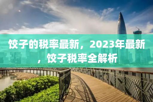 餃子的稅率最新，2023年最新，餃子稅率全解析