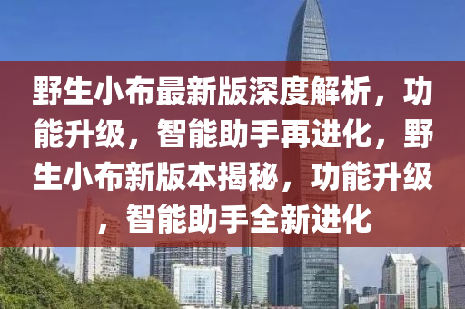 野生小布最新版深度解析，功能升級，智能助手再進化，野生小布新版本揭秘，功能升級，智能助手全新進化