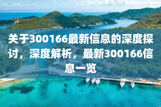 關(guān)于300166最新信息的深度探討，深度解析，最新300166信息一覽