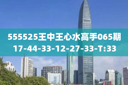 555525王中王心水高手065期17-44-33-12-27-33-T:33