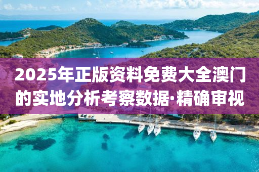 2025年正版資料免費大全澳門的實地分析考察數(shù)據(jù)·精確審視