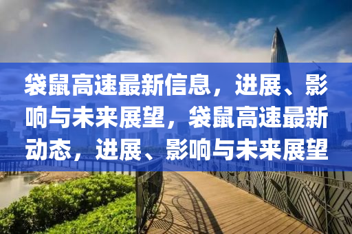 袋鼠高速最新信息，進(jìn)展、影響與未來(lái)展望，袋鼠高速最新動(dòng)態(tài)，進(jìn)展、影響與未來(lái)展望