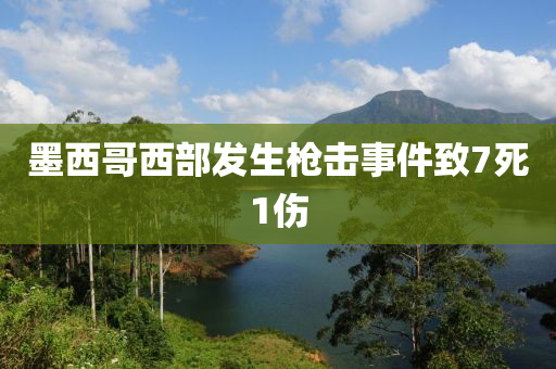 墨西哥西部發(fā)生槍擊事件致7死1傷