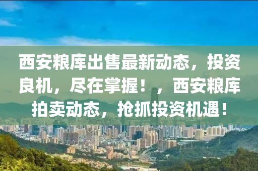 西安糧庫出售最新動態(tài)，投資良機，盡在掌握！，西安糧庫拍賣動態(tài)，搶抓投資機遇！