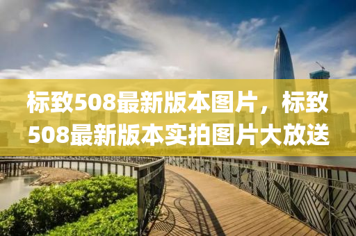 標(biāo)致508最新版本圖片，標(biāo)致508最新版本實拍圖片大放送