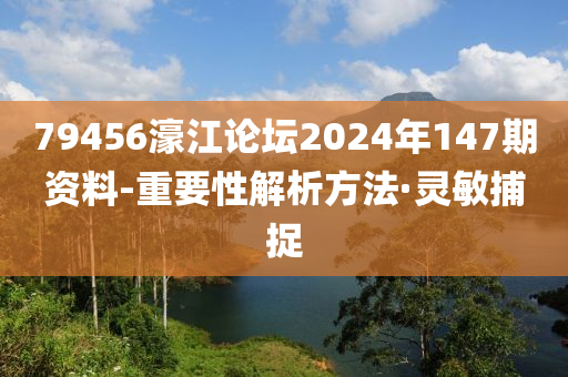 79456濠江論壇2024年147期資料-重要性解析方法·靈敏捕捉