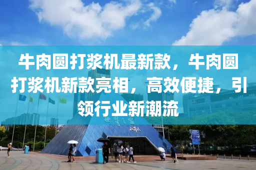 牛肉圓打漿機最新款，牛肉圓打漿機新款亮相，高效便捷，引領(lǐng)行業(yè)新潮流