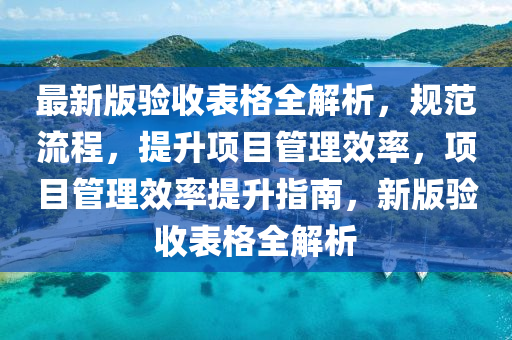 最新版驗收表格全解析，規(guī)范流程，提升項目管理效率，項目管理效率提升指南，新版驗收表格全解析