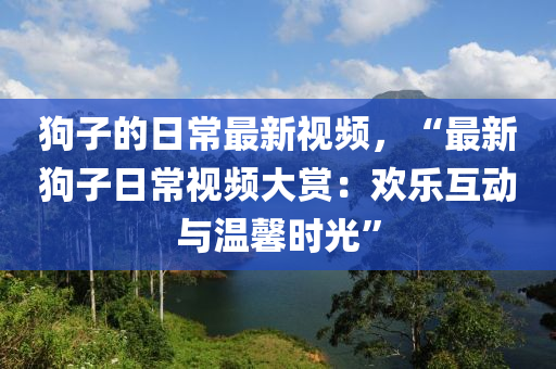 狗子的日常最新視頻，“最新狗子日常視頻大賞：歡樂互動(dòng)與溫馨時(shí)光”